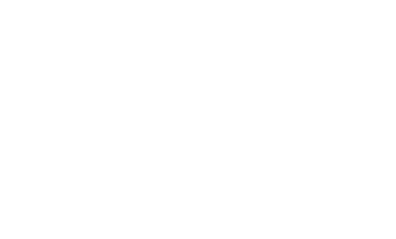 travelin toms logo white